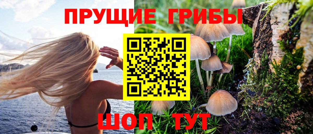 Галлюциногенные грибы Cubensis  Вход с VPN  Ростов-на-Дону 