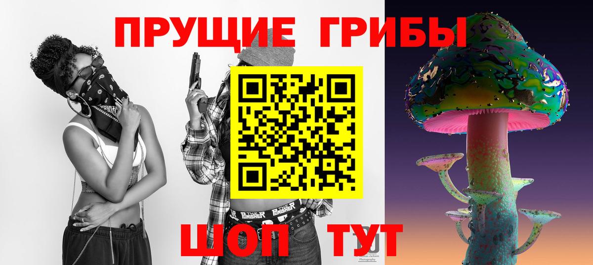 Псилоцибиновые грибы Psilocybe Ростов-на-Дону